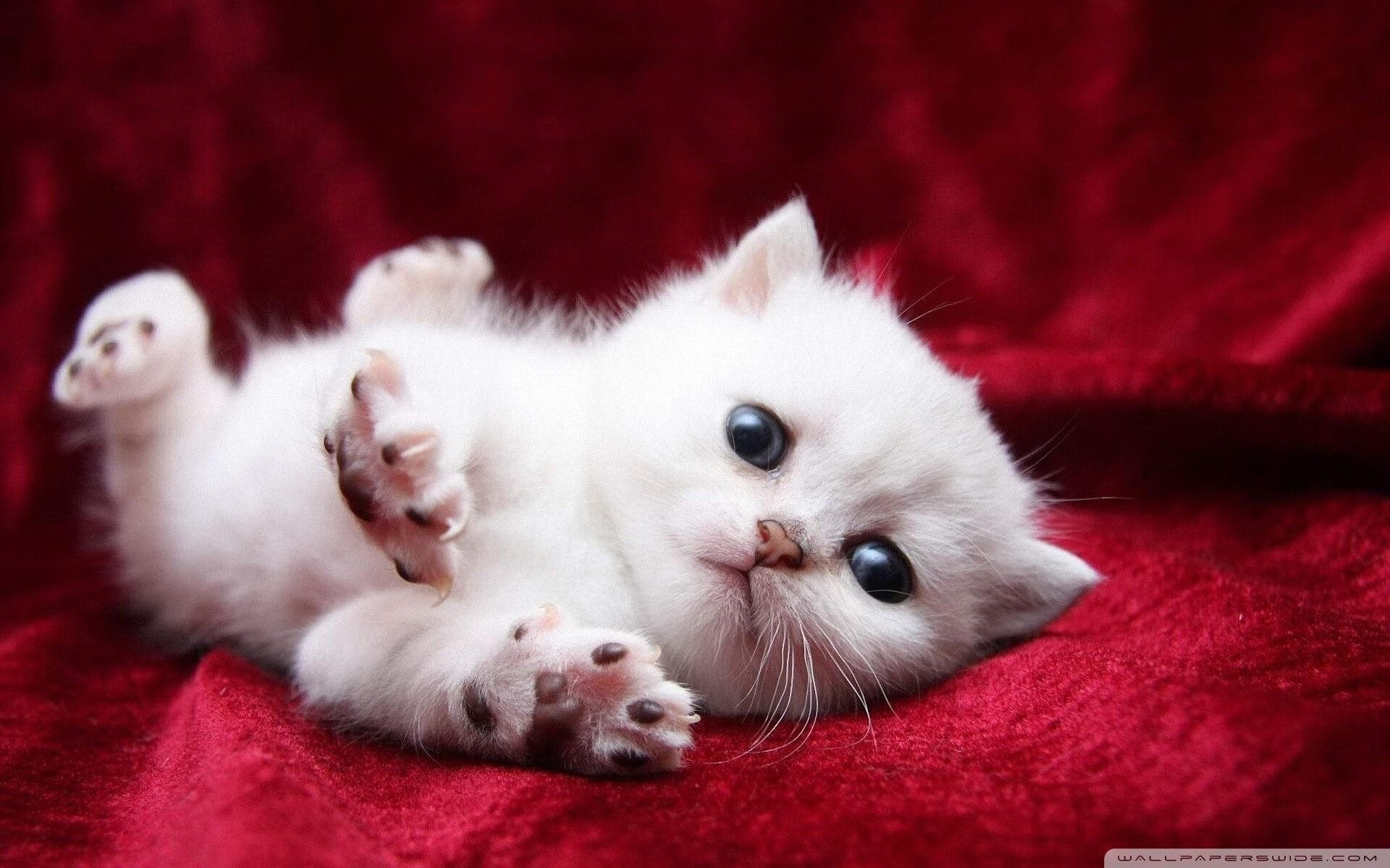 冰与火的碰撞，当爱尔兰雨夜遇上火热德里赫特