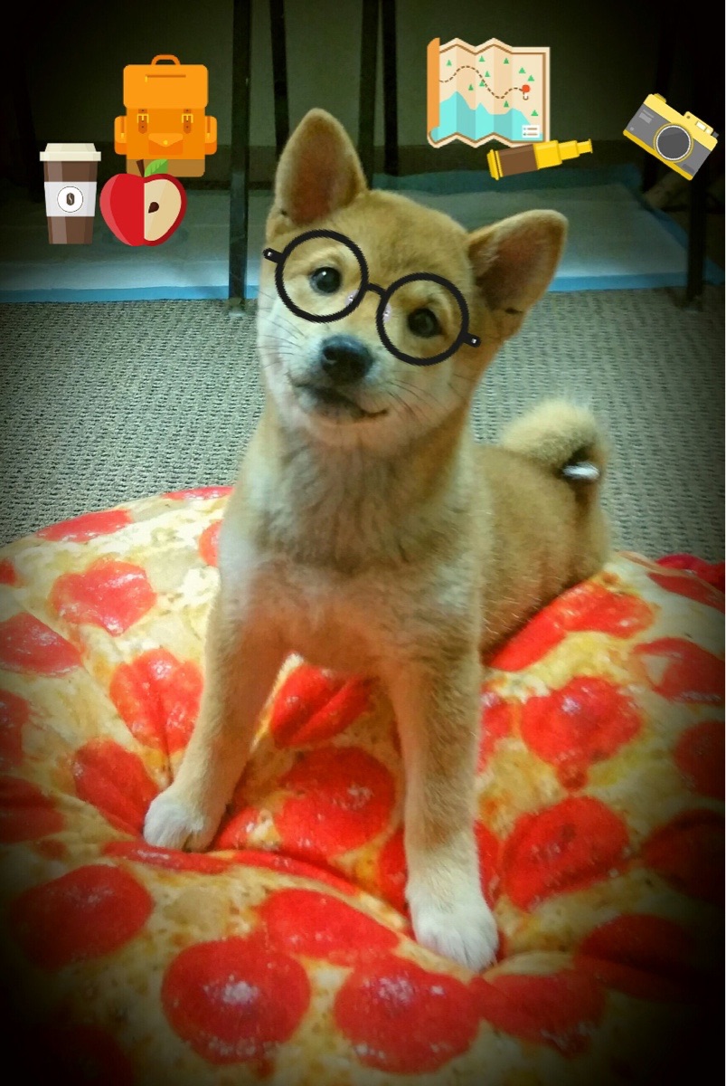 爆冷！独行侠狂轰抢七，约基奇三双难救主