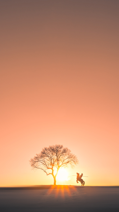 跨越疆界的传奇，塞内加尔关键战突围利物浦，三笘薰西甲德比接管比赛