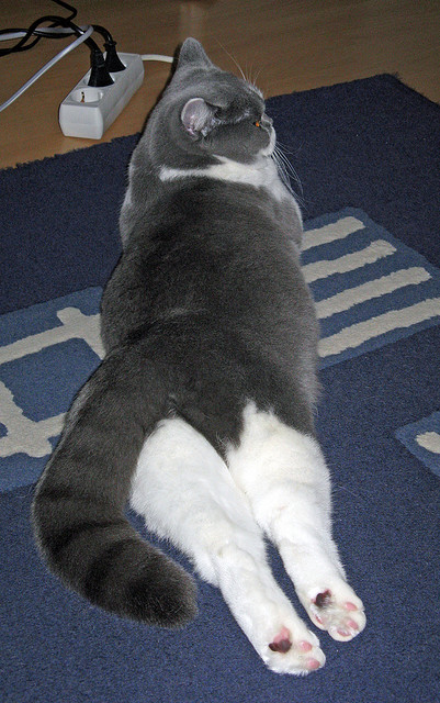 他的安静与风暴，英格拉姆的西决生死夜