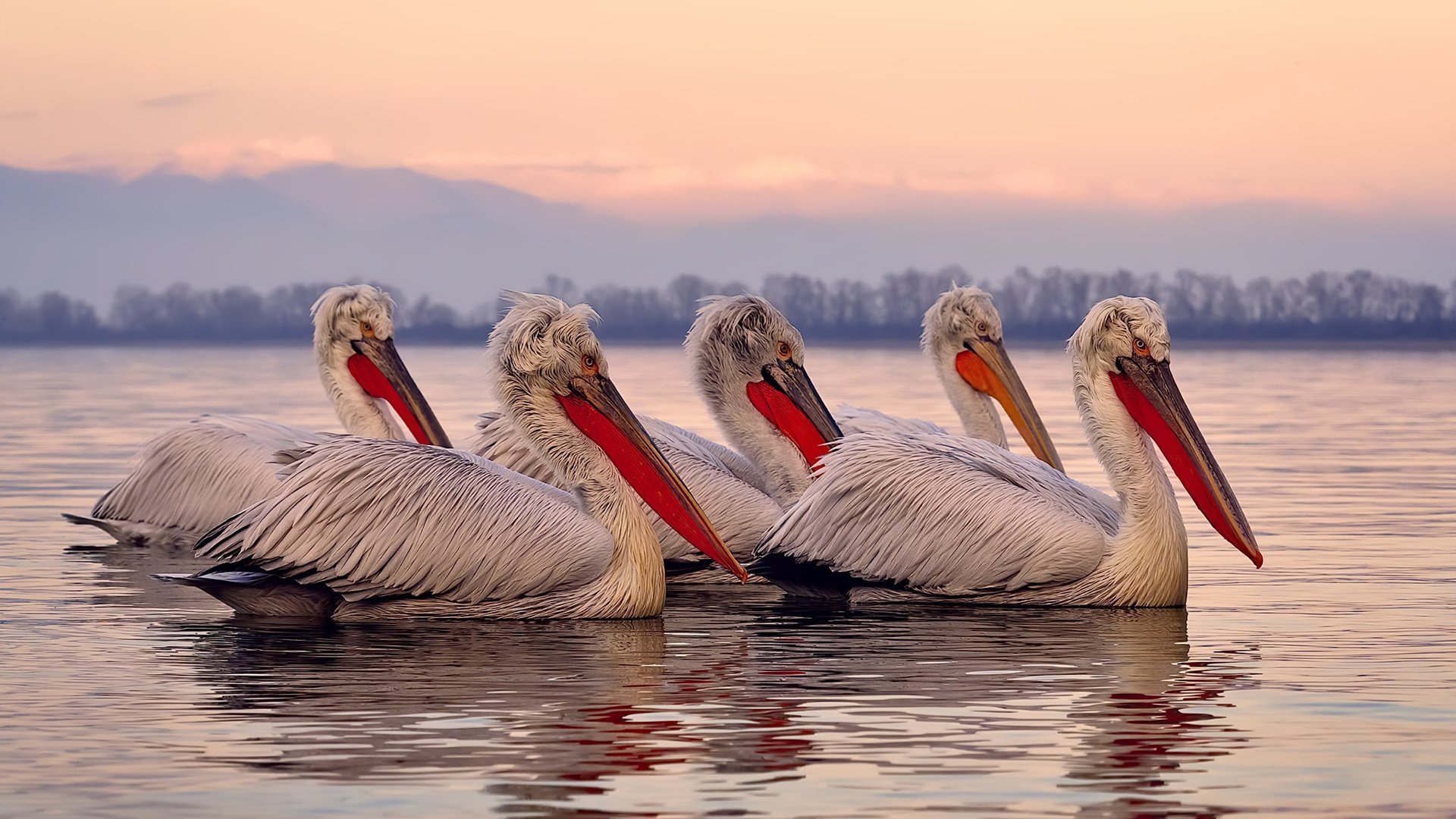 赛道与绝杀，当狂飙的赛车撞进季后赛的最后一秒