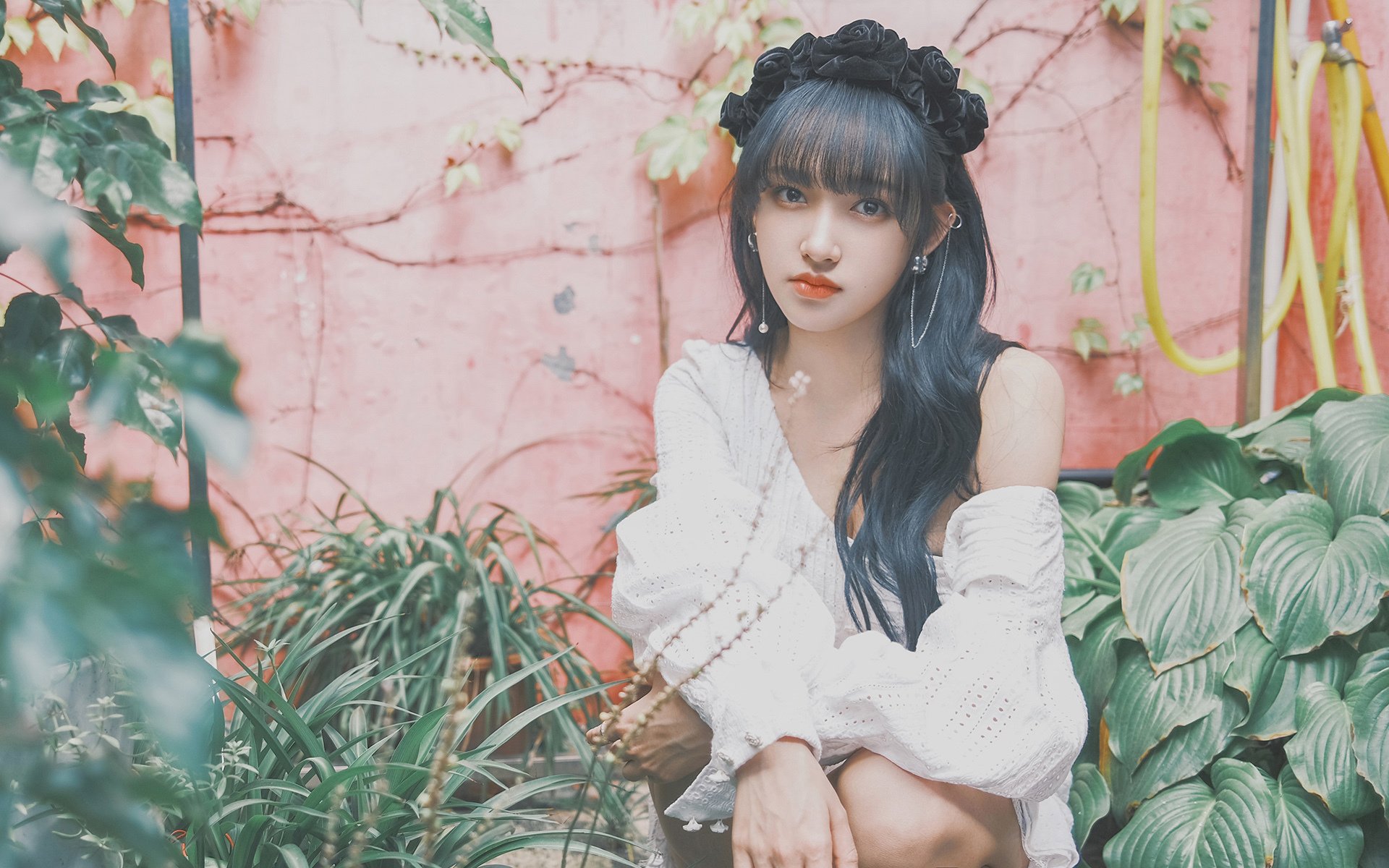 紫金双城记,当詹姆斯戴上北京的王冠