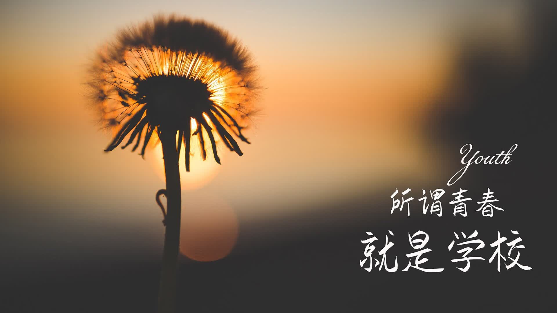 开云体育在线-这是一篇为您定制的深度分析文章，结合了您提出的唯一性要求以及所有关键词